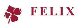 Spins House Casino: Felixgaming